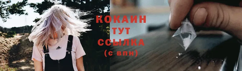 где найти   Оса  COCAIN 98% 