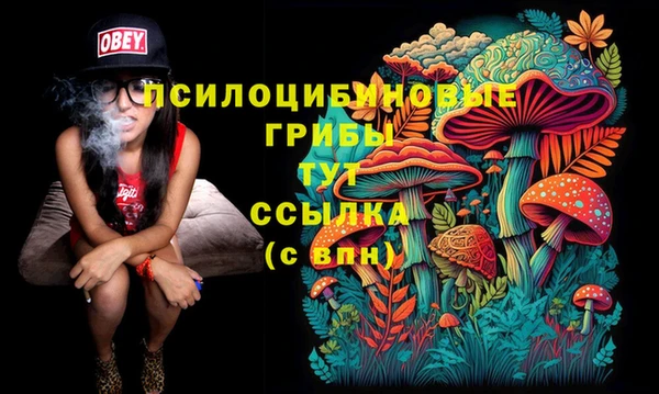 ПСИЛОЦИБИНОВЫЕ ГРИБЫ Кулебаки